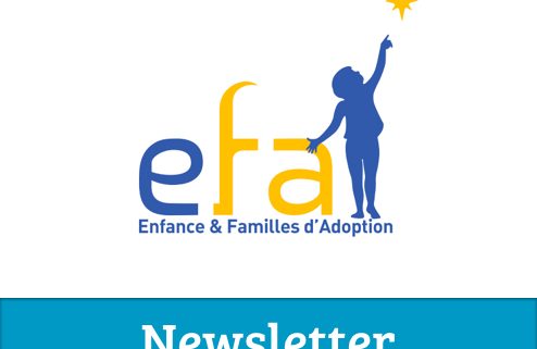 EFA Newsletter logo